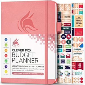 picture of a pink budget planner notebook by Clever Fox 