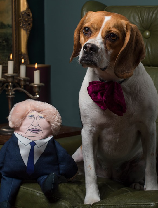 boris johnson shaped dog toy with fleecy head. funny gift for easter. includes two squeakers inside toy