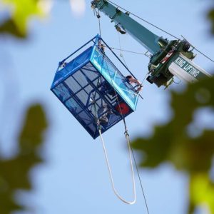 Photo of man about to bungee jump from a very high crane