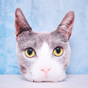 Personalised cat shaped cushion with photo of your pet on it. 